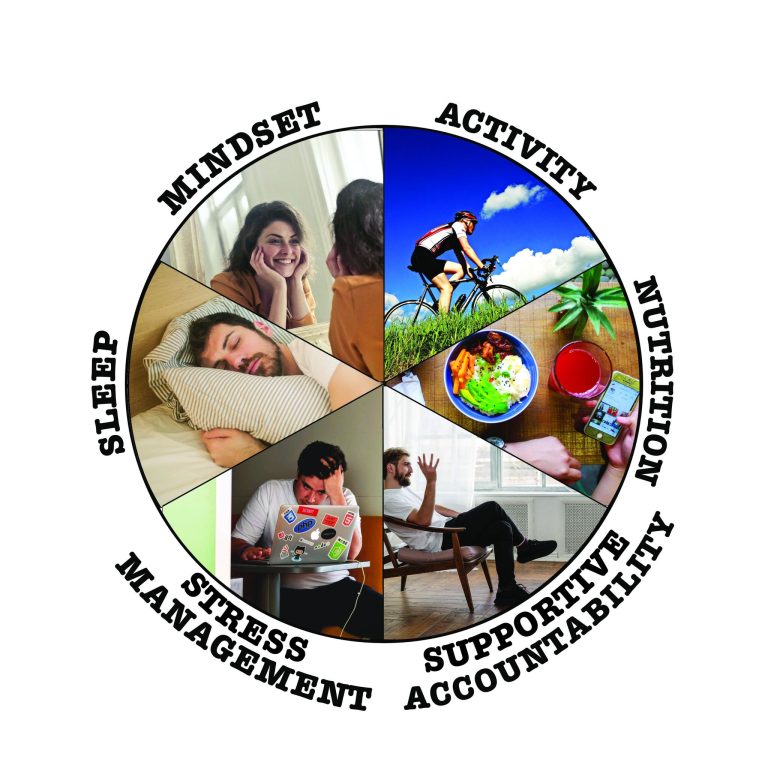 Holistic Wheel with Six areas of health - Mindset, activity, nutrition, sleep, stress management, and support